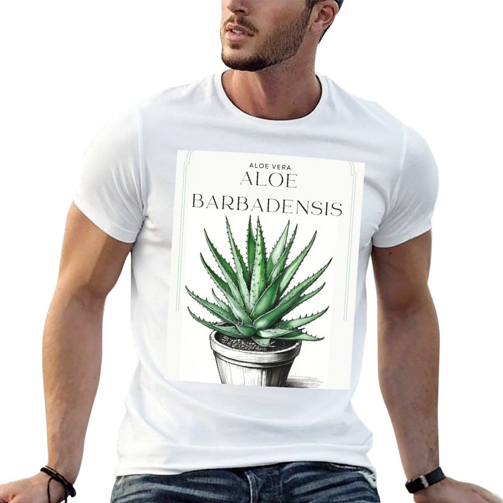Aloe Vera Pot - 칼리스C 아트의 냄비에 담긴 식물성 알로에