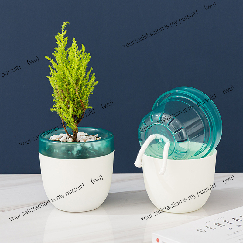 Aloe Vera Pot - 자동 물 흡수 게으른 화분 무급수