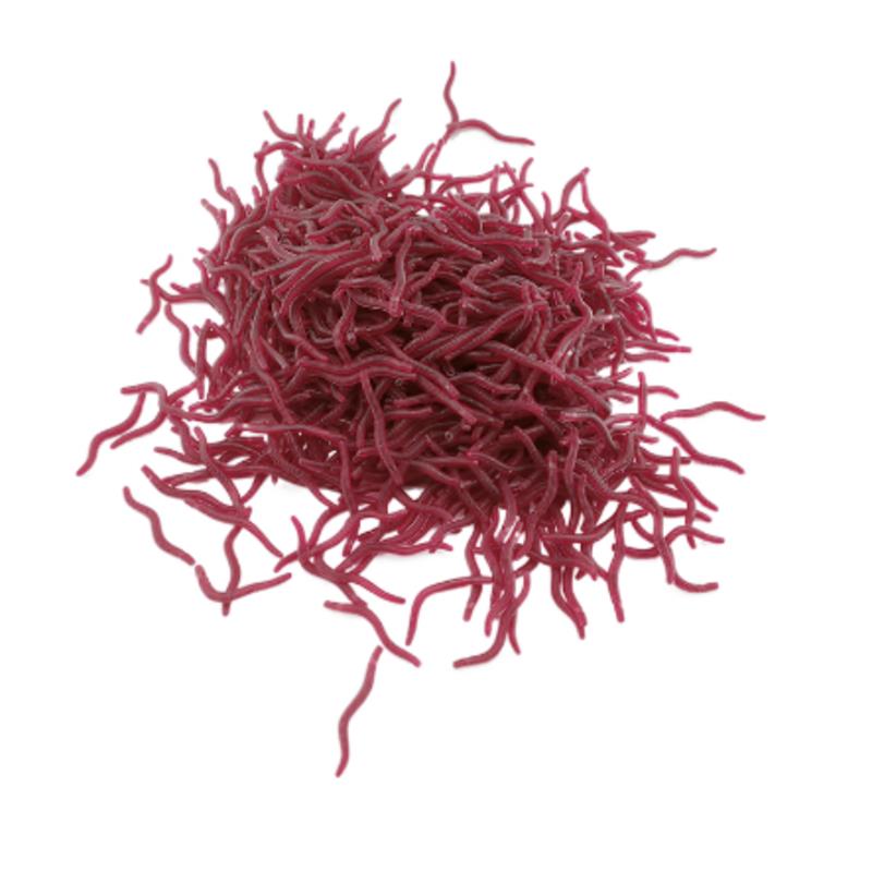 Aglaonema Red - 100PCS 소프트 루어베이스 도미 Bloodworm 낚시