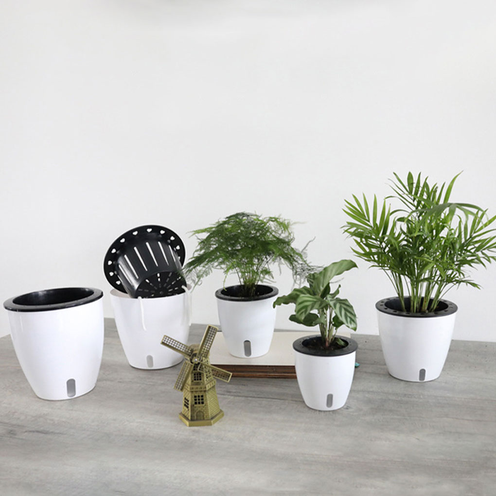 Aloe Vera Pot - 배수 시스템 허브가 있는 흰색 휴대용