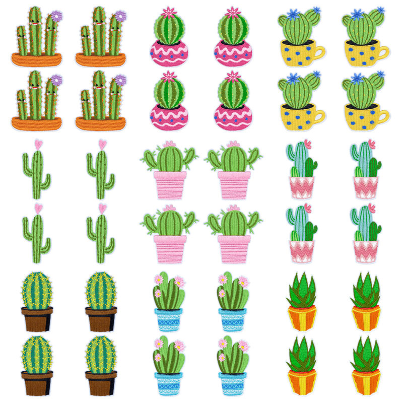 Aloe Vera Pot - 10개/세트 서양 사막풍 다육식물 알로에 베라