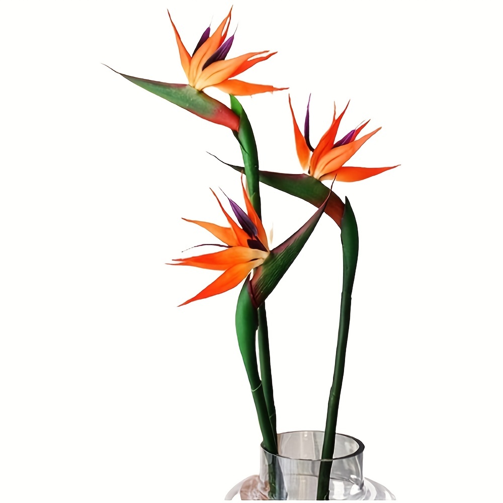 Bird Paradise Strelitzia - 인조 새 파라다이스 꽃 고무 Strelitzia