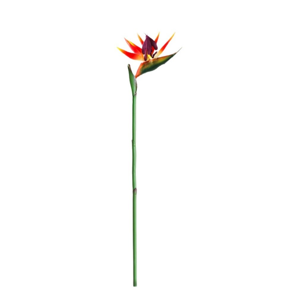 긴 줄기 인조 버드 오브 파라다이스 장식용 실제같은 느 - Bird Paradise Strelitzia 리뷰 및 가격