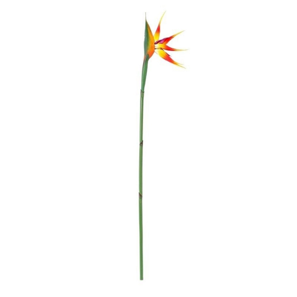 새로운 롱 스템 인조 버드 오브 파라다이스 장식용 정통 - Bird Paradise Strelitzia 리뷰 및 가격