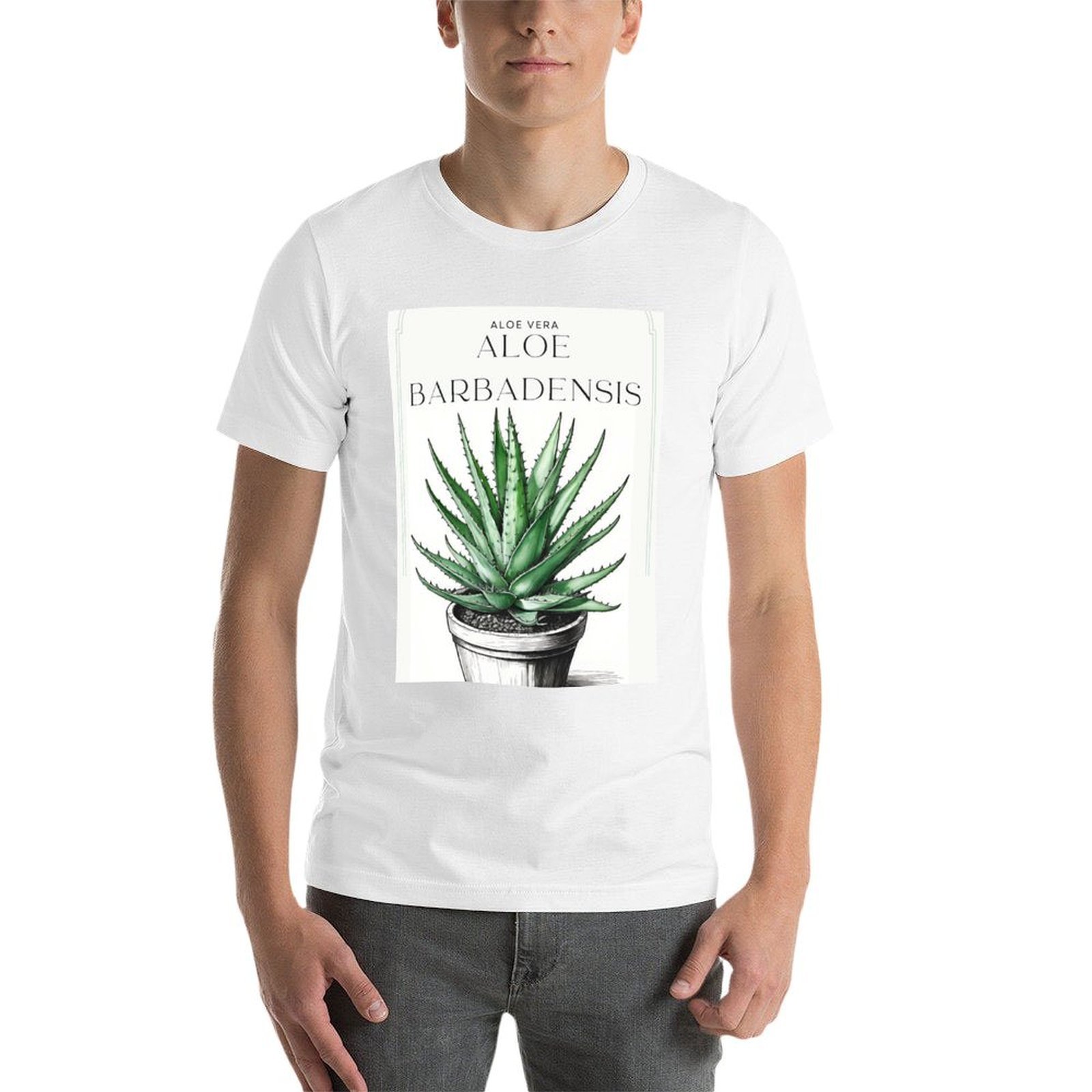 칼리스C 아트의 냄비에 담긴 식물성 알로에 베라의 소박 - Aloe Vera Pot 리뷰 및 가격