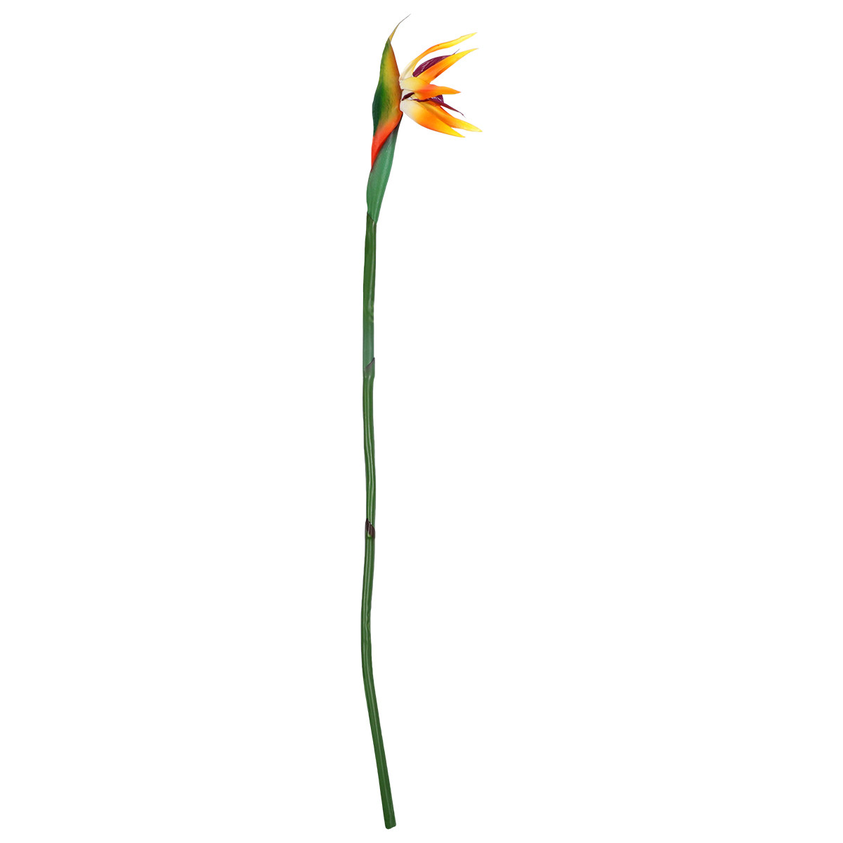 인조 스트렐리치아 꽃 리얼 터치 버드 오브 파라다이스  - Bird Paradise Strelitzia 리뷰 및 가격