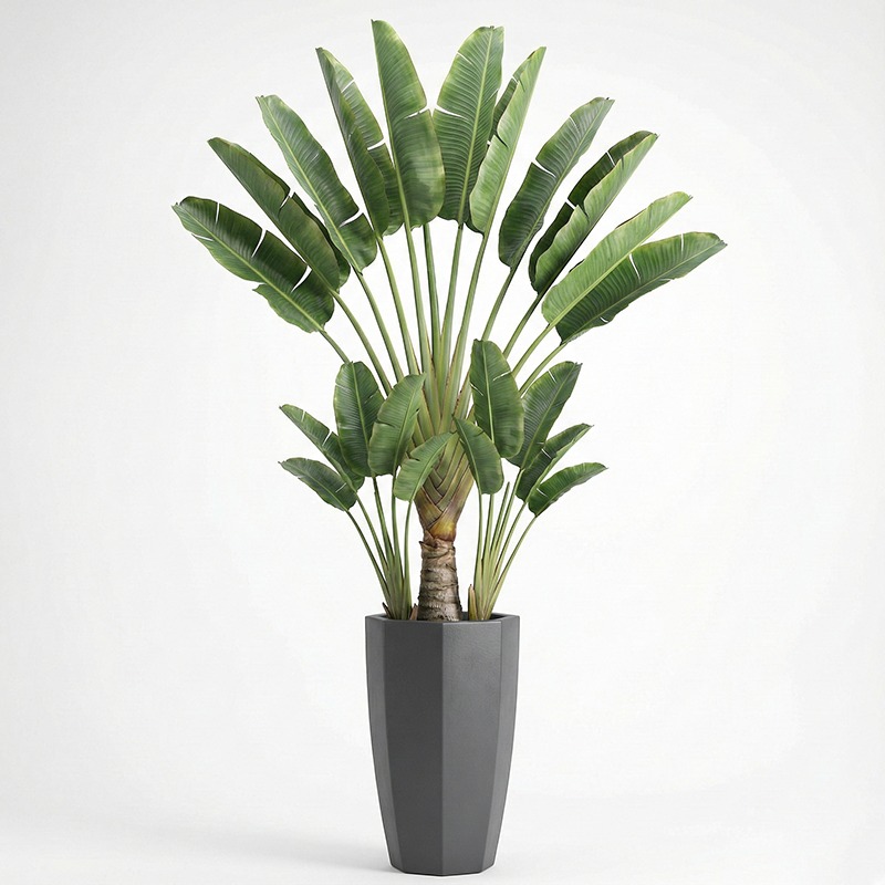 고도로 시뮬레이션된 플라스틱 피들리프 무화과 인조 분재 - Ficus Lyrata Tree 리뷰 및 가격