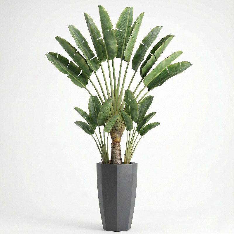 고도로 시뮬레이션된 플라스틱 피들리프 무화과 인조 분재 - Ficus Lyrata Tree 리뷰 및 가격