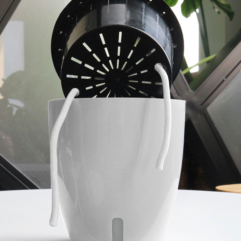 배수 시스템 허브가 있는 흰색 휴대용 및 친환경 식물  - Aloe Vera Pot 리뷰 및 가격