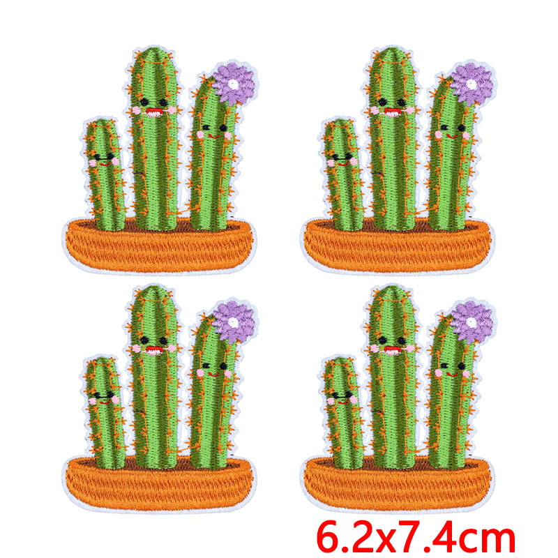 10개/세트 서양 사막풍 다육식물 알로에 베라 꽃 자수 - Aloe Vera Pot 리뷰 및 가격