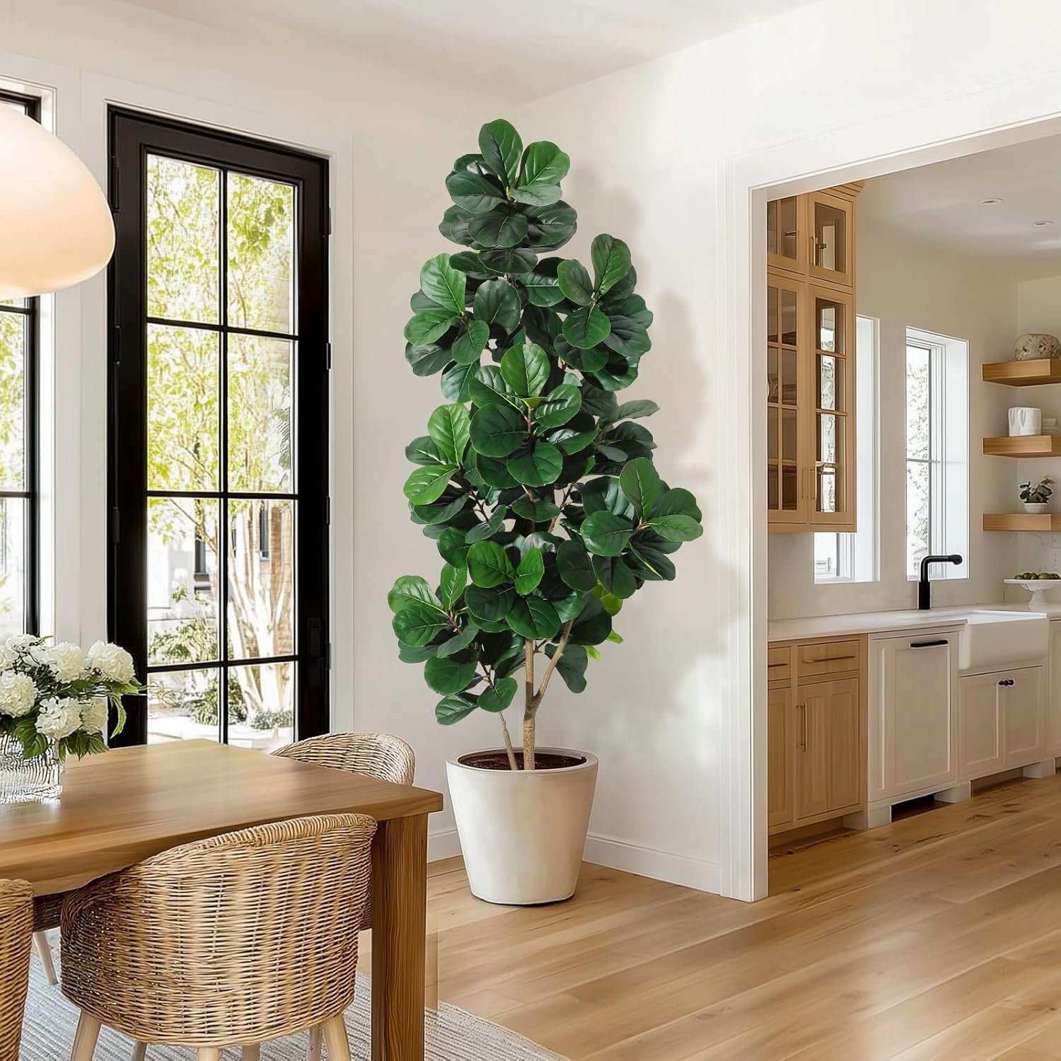 4피트/5피트/6피트/7피트 바이올린 잎 무화과 나무  - Ficus Lyrata Tree 리뷰 및 가격