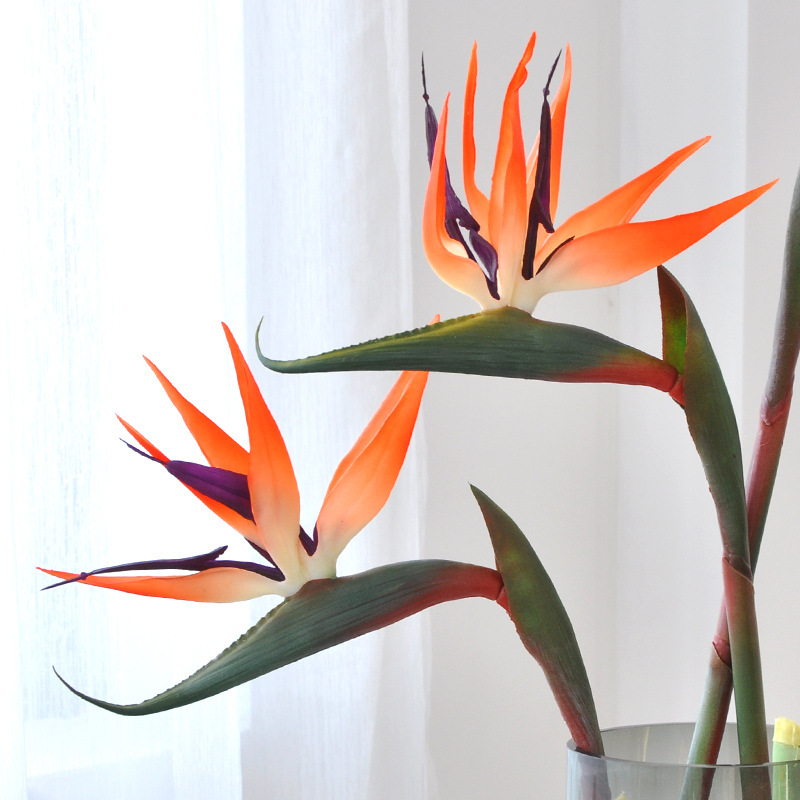3개 인조 버드 오브 파라다이스 꽃 고무 스트렐리치아  - Bird Paradise Strelitzia 리뷰 및 가격